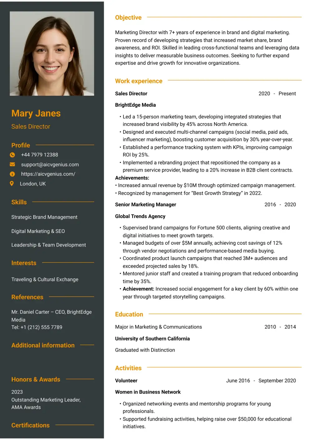 Professional Resume Template - Sales Director